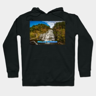 Hector Falls Finger Lakes New York Hoodie